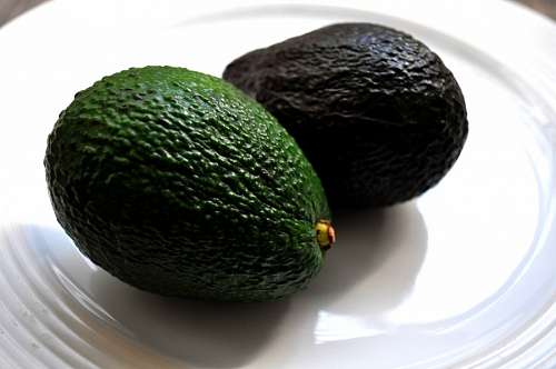 aguacate Aguacate