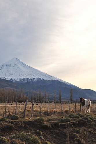 patagonia, neuquen, volcan, lanin, nieve, paisaje,