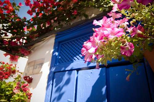 entrada Puerta azul