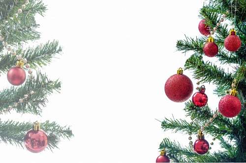 festejo Navidad
