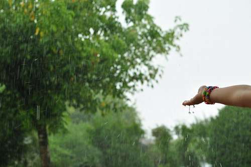 una persona, gente, mujer, mano, lluvia, vista de 