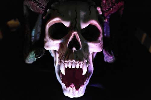terror Munstruo