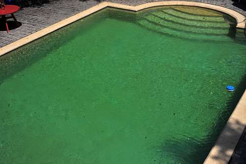 piscina Piscina