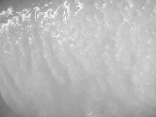 skate Detalle de hielo