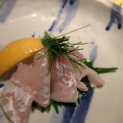 sushi comida, plato, vista de frente, pescado, pez, sush