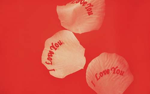 tumba Te amo fondo rojo