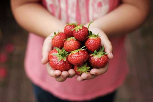 mujer sosteniendo fresas Mujer sosteniendo un puñado de frutillas frescas