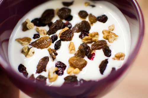 yogurt Yogurt