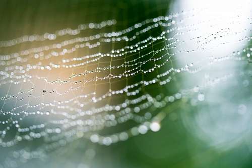 tejido a mano Tela de araña
