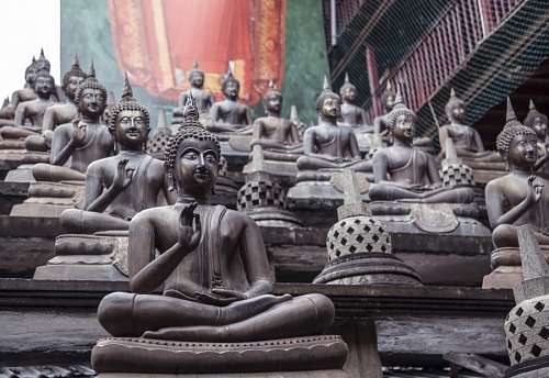budismo Buda