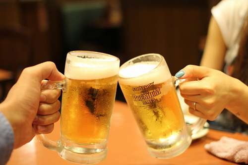 brindis Brindis con cerveza