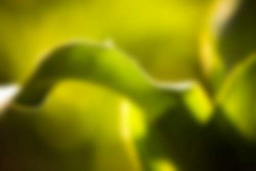 Blur Background