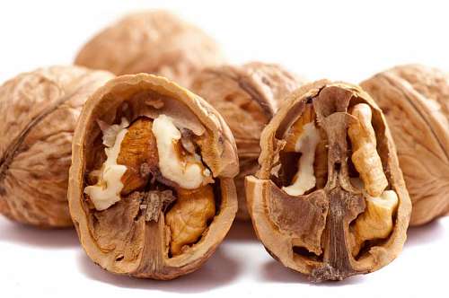 curvas Close-up de nueces una al lado de la otra sobre un fondo blanco de estudio