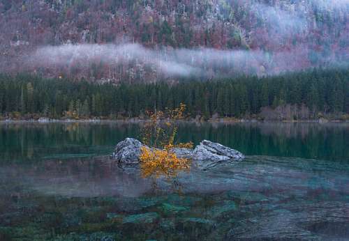 deber Roca en el lago