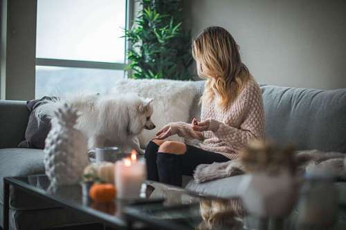 perro mascota Mujer adulta con su perro en el living 