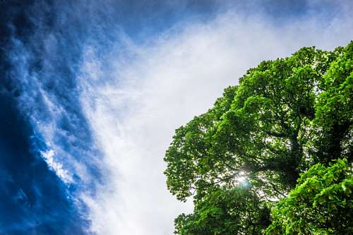 paisaje con nubes paisaje, cielo, verde, arbol, arboles, luz, luces,
