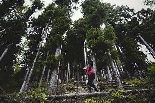 trekking Equilibrio