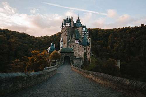 entrada a un antiguo castillo medieval en medio del bosque