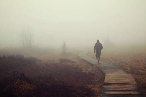temprano Running