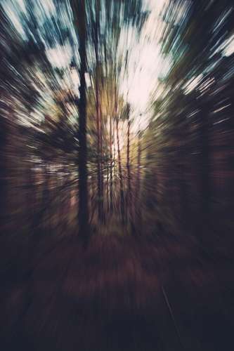 enfoque Bosque