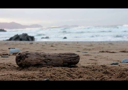 trono Madera en una playa desierta