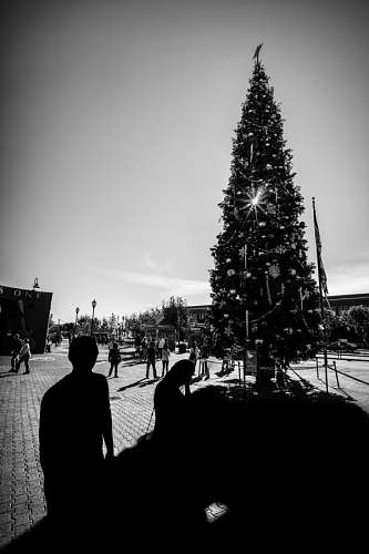 insta Arbol de Navidad