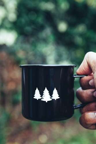 dibujado a mano Cafe con Pinos