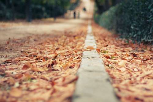 juan Paisajes de Otoño