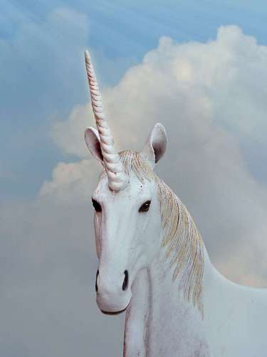 Primer plano de unicornio blanco