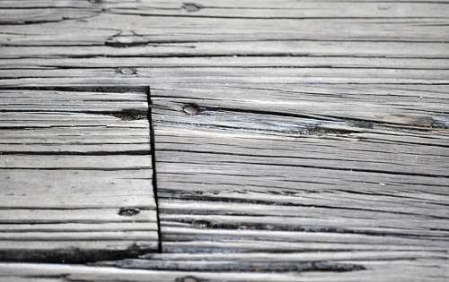Textura Madera