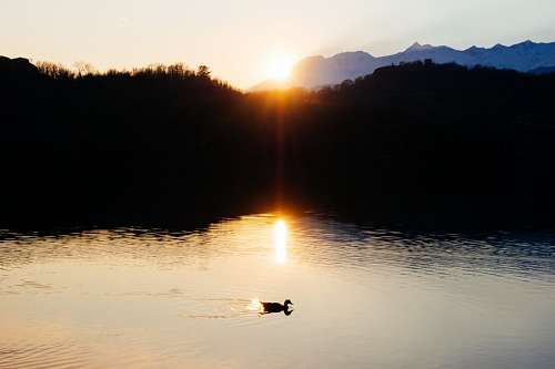 laguna 