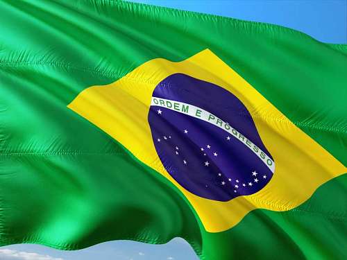 flamingo Bandera de Brasil