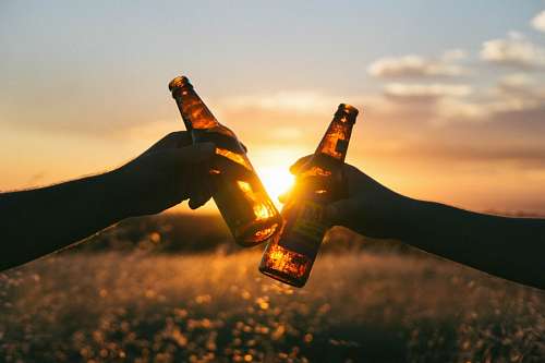 brindis Brindis