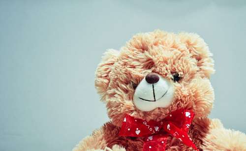 juguete de peluche Oso de Peluche