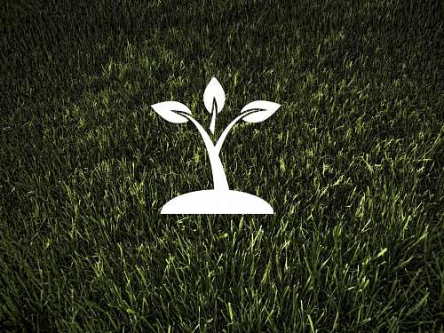 ecologia Ecología y medio ambiente