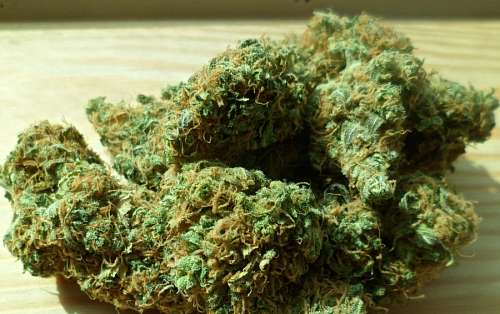 adiccion Marihuana
