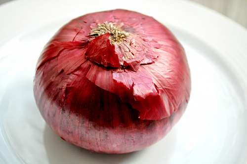 cebolla roja Cebolla Morada