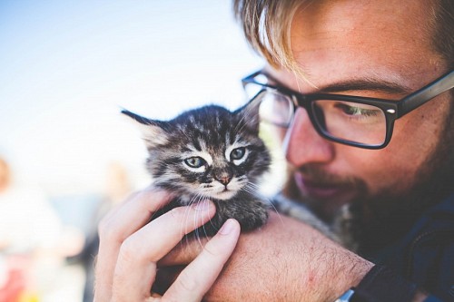 Hombre tomando en sus manos a tierno gatito