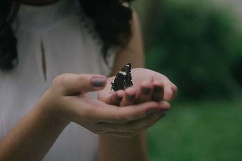 Mujer sosteniendo una mariposas con sus manos