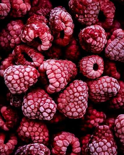congelado Frambuesas congeladas