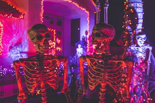 Esqueletos en Halloween