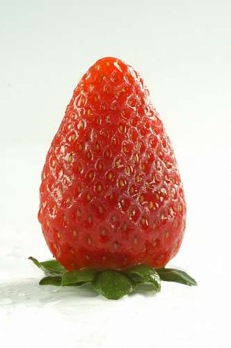 Primer Plano de una Frutilla