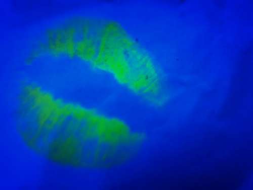 fluor 