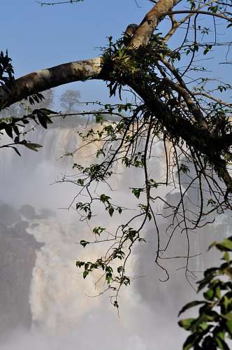 cataratas del iguazu Cataratas del Iguazu