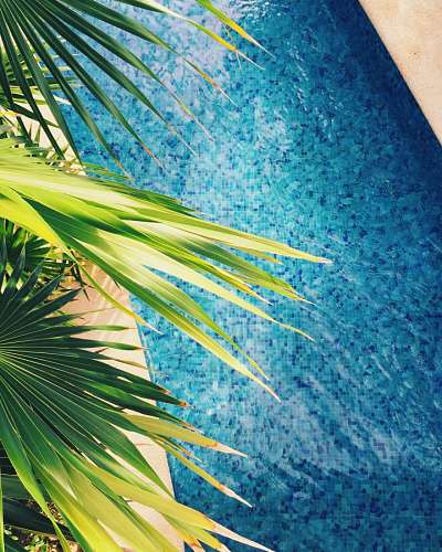 piscina piscina