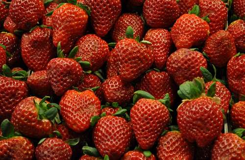 frutillas Frutillas