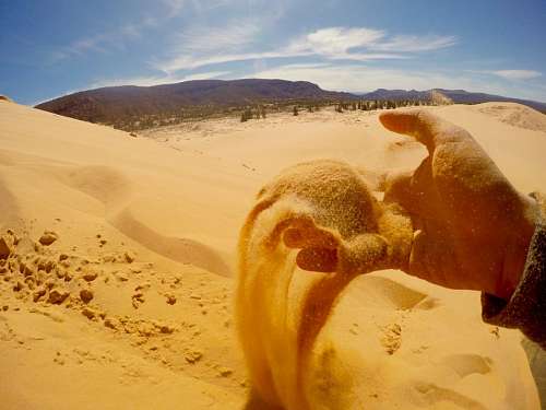 Desierto