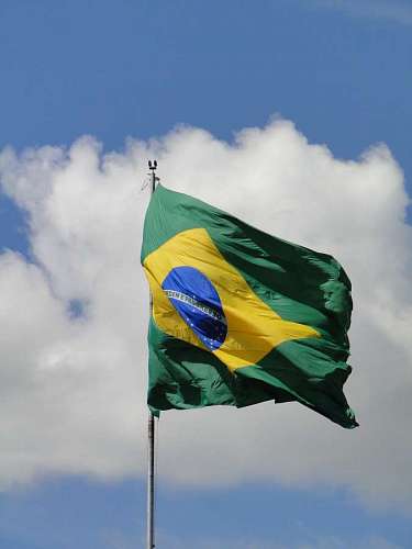 flamingo Bandera de Brasil