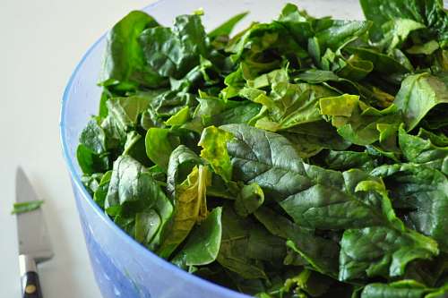 ensalada, bowl, interior, verde, espinaca, saludab