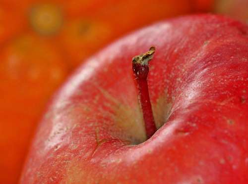capa roja Manzana Roja